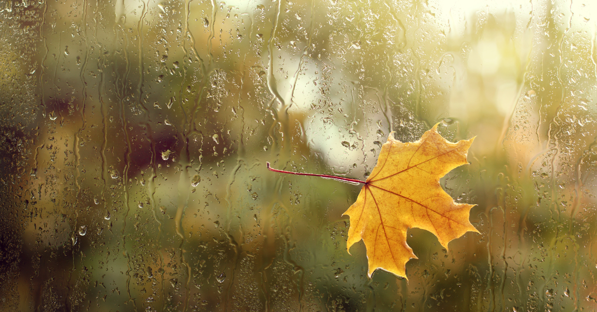 Preceding every change in temperature comes a change in barometric pressure which can increase knee pain and stiffness.